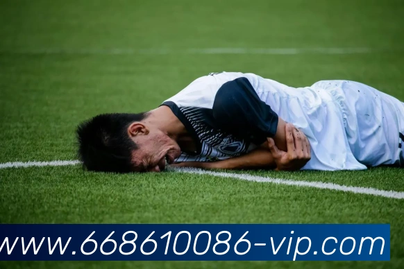 6686体育APP 封面图